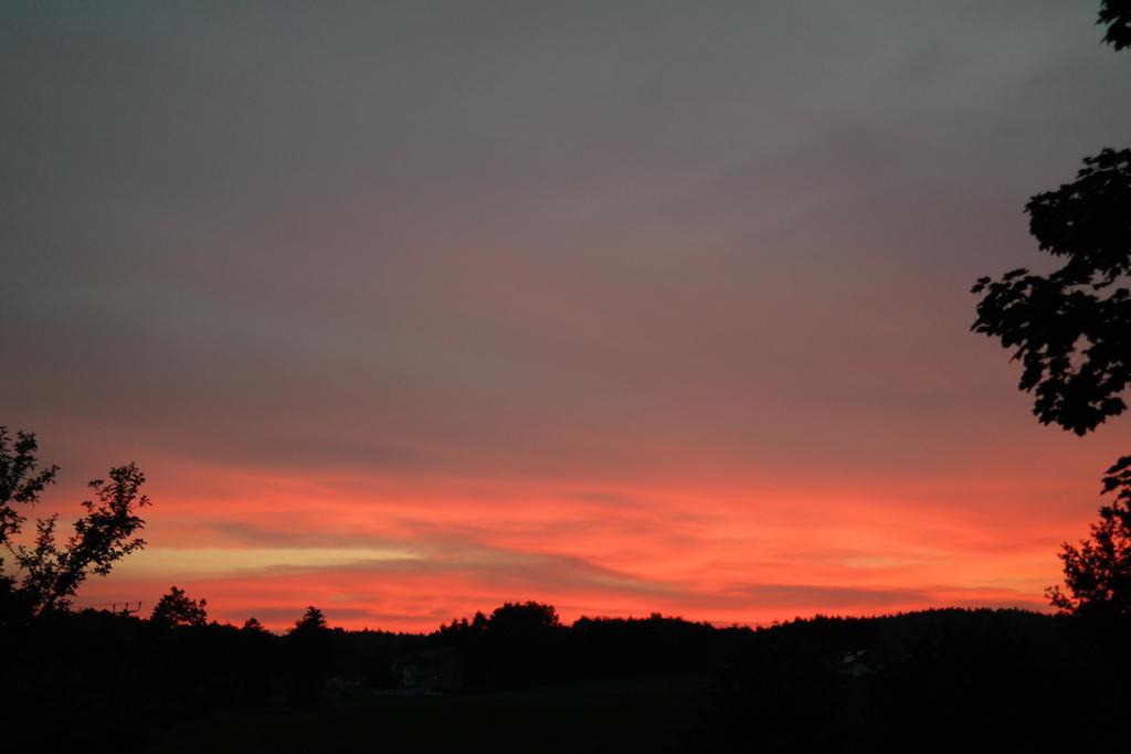 Am Mitterberg